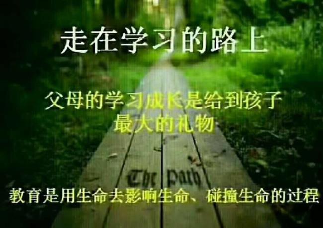 什么样的教育是好的教育