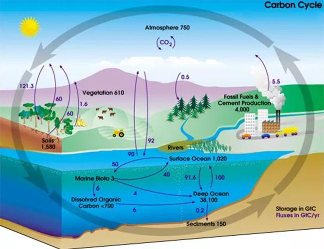 人类居住的地球被称为生物圈