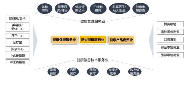 健康领域包括哪些方面