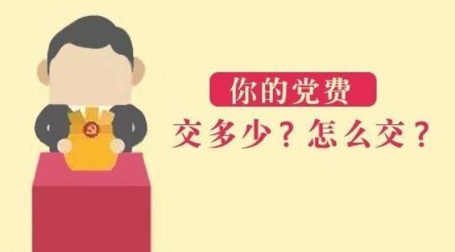 9月份的党费如何交纳