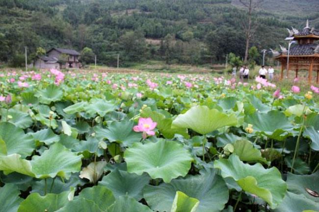 黔东南岑巩海拔