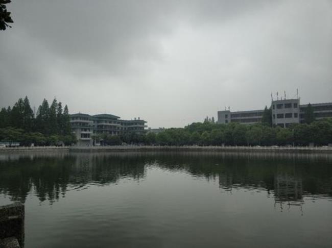 长江大学文学院是几本