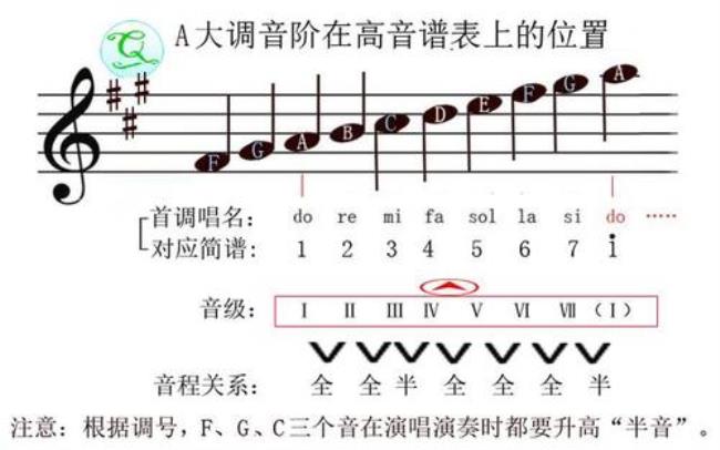 大调的正音级是什么