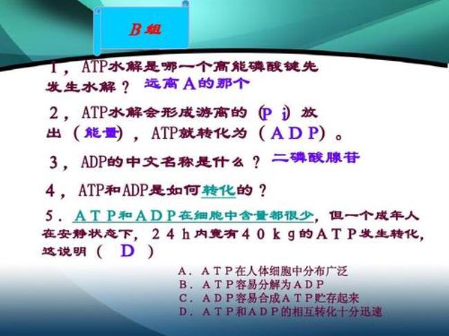 ATP是什么东西有什么作用