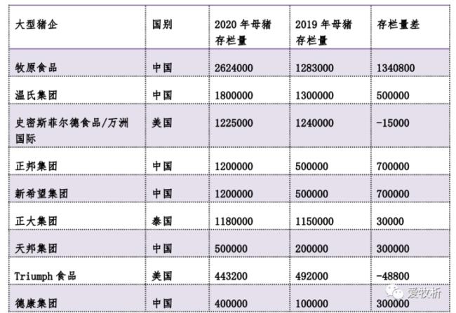 关于猪的期刊排名