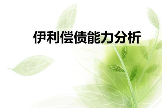 偿债能力从哪几方面分析