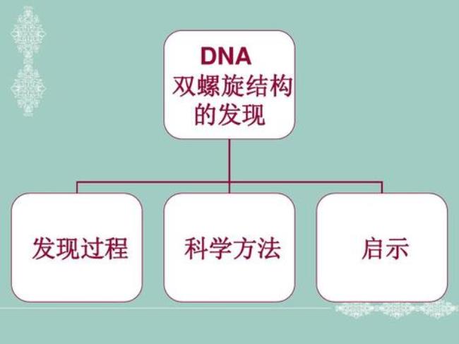 DNA被加热会发生什么样的状况DNA被加