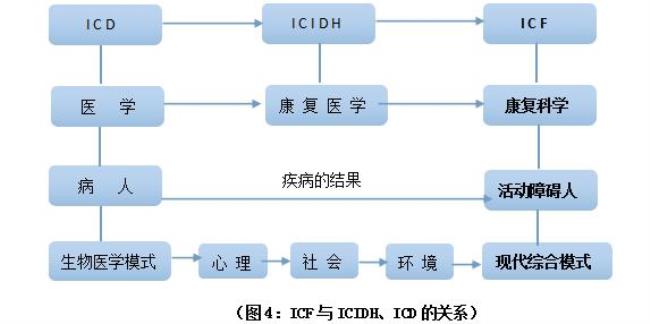 icidh分类基本内容包括