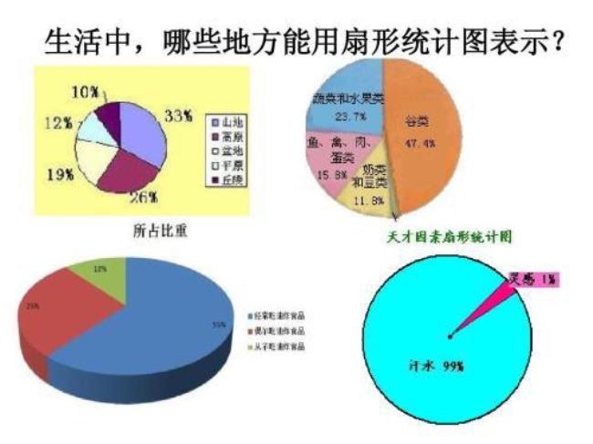 怎样在纸上画扇形统计图