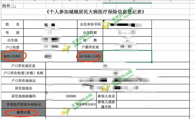 个人医疗保险查询网官网