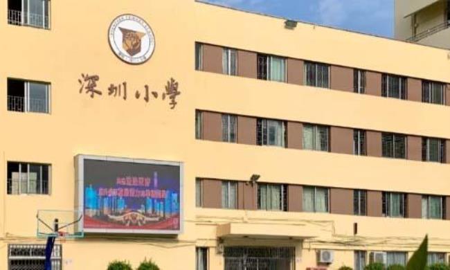 深圳市罗湖区小学排名一览表