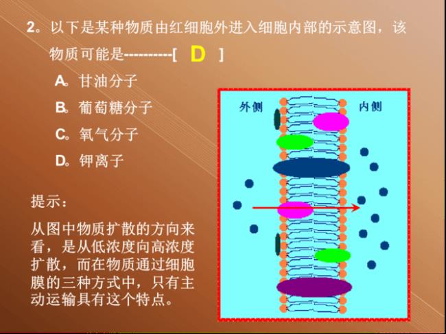 什么决定了细胞膜的亲水性