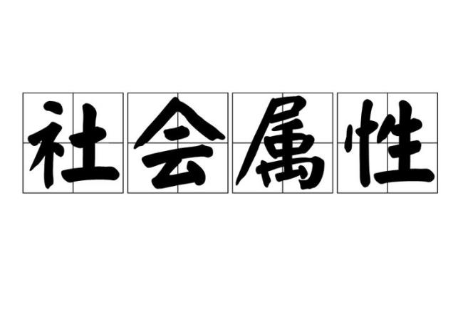 个性和社会属于什么