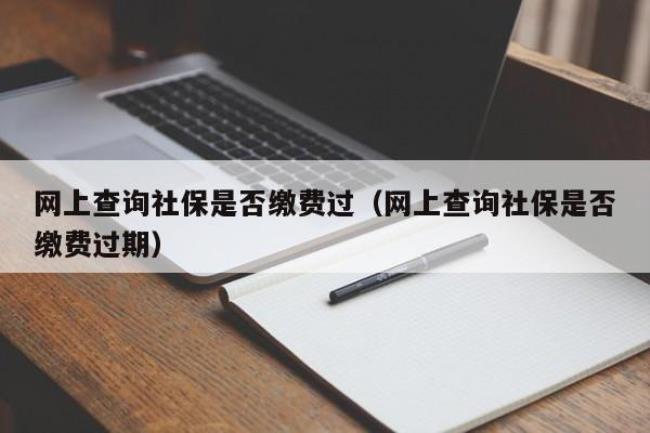 单位交了社保为什么查不到