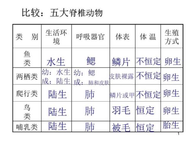 脊椎动物登陆经历了哪几个阶段