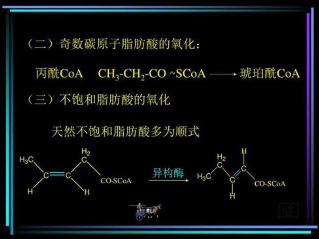 丙酮酸脱氢酶方程式