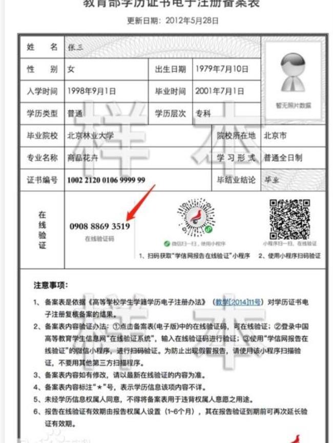 学信网能查到哪些信息