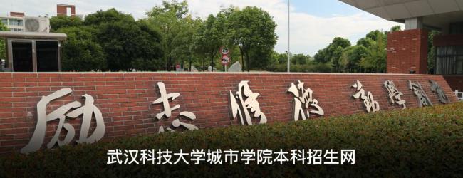 武汉科技大学附属学院有哪些