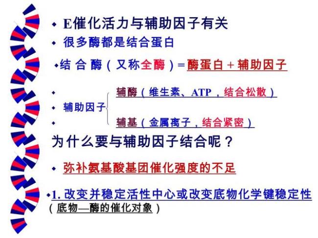 ATP中特殊化学键不稳定的原因