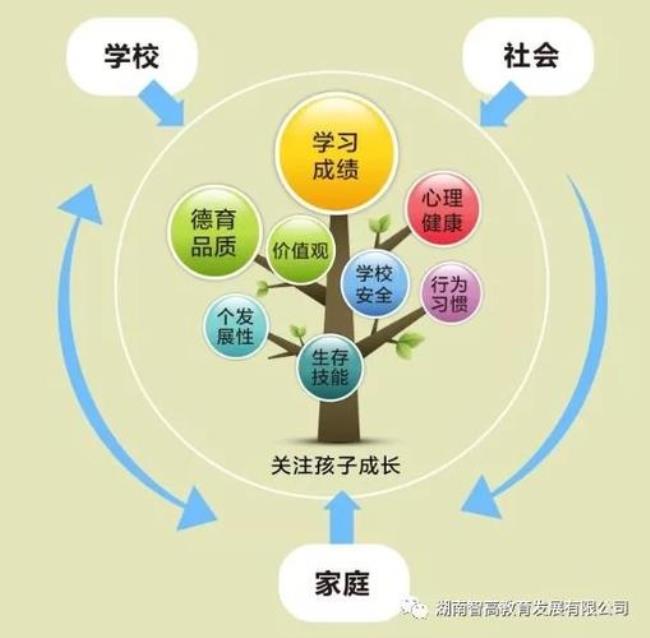 社会教育权利包括哪些