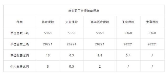 2022福建省灵活就业社保缴费时间