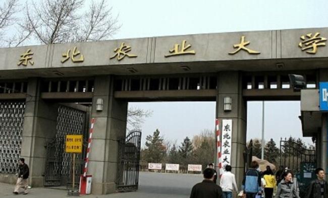 东北农业大学在全国认可度高吗