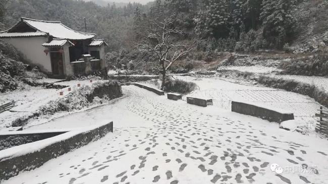 历史上温州下过大雪吗