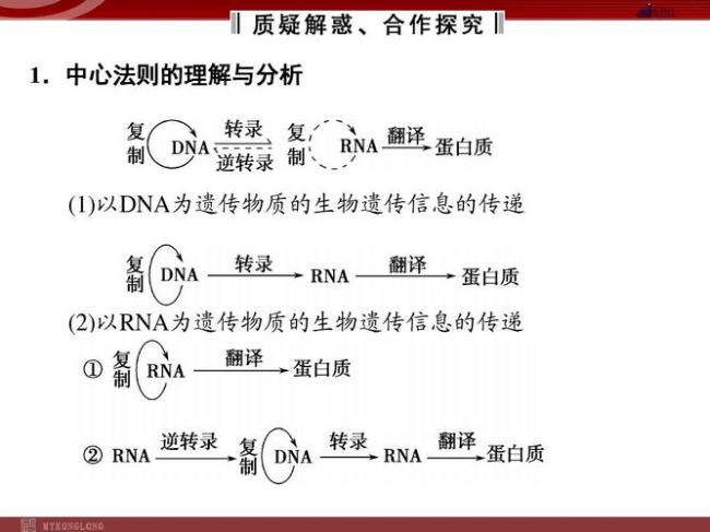 减数中心法则