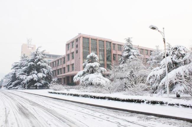 临沂大学费县分校什么学历