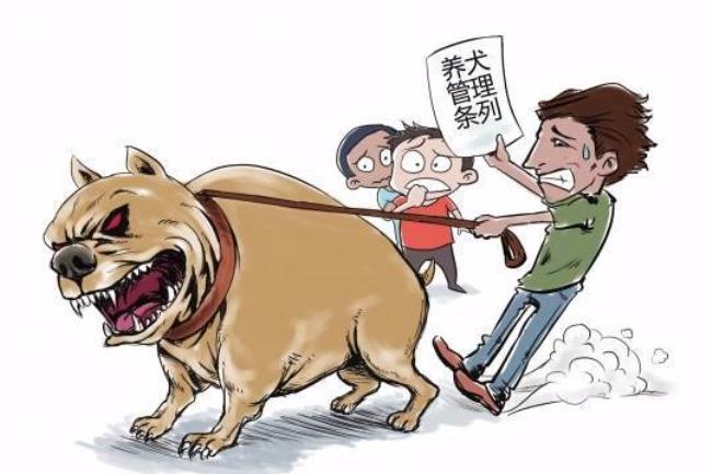 台州市犬类管理办法