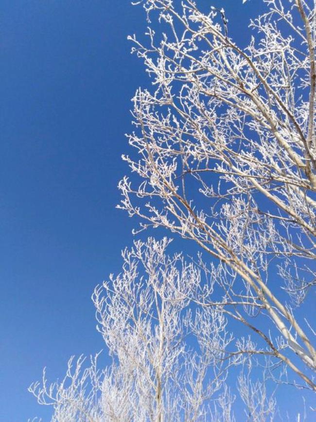 一度有太阳化雪吗