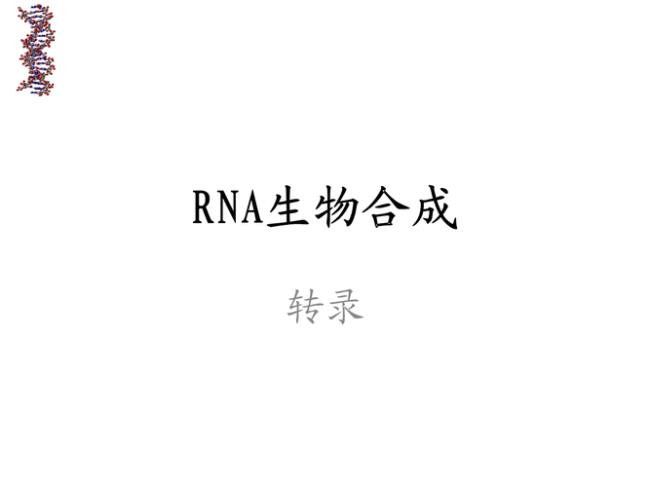 仅存在于原核生物中的RNA是