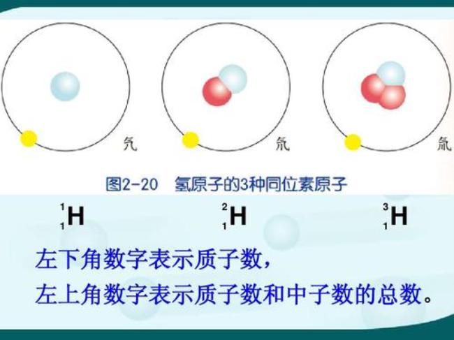 质子数中子数核化电子数的区别