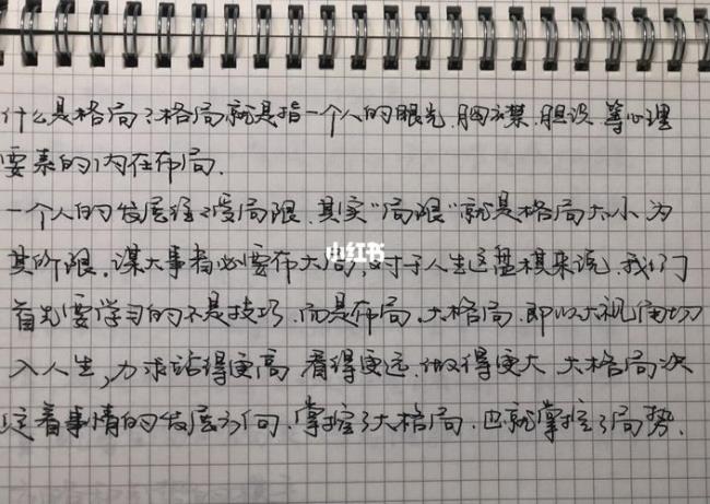 新格局指的是什么