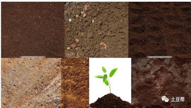 土壤的保肥的化学原理是什么
