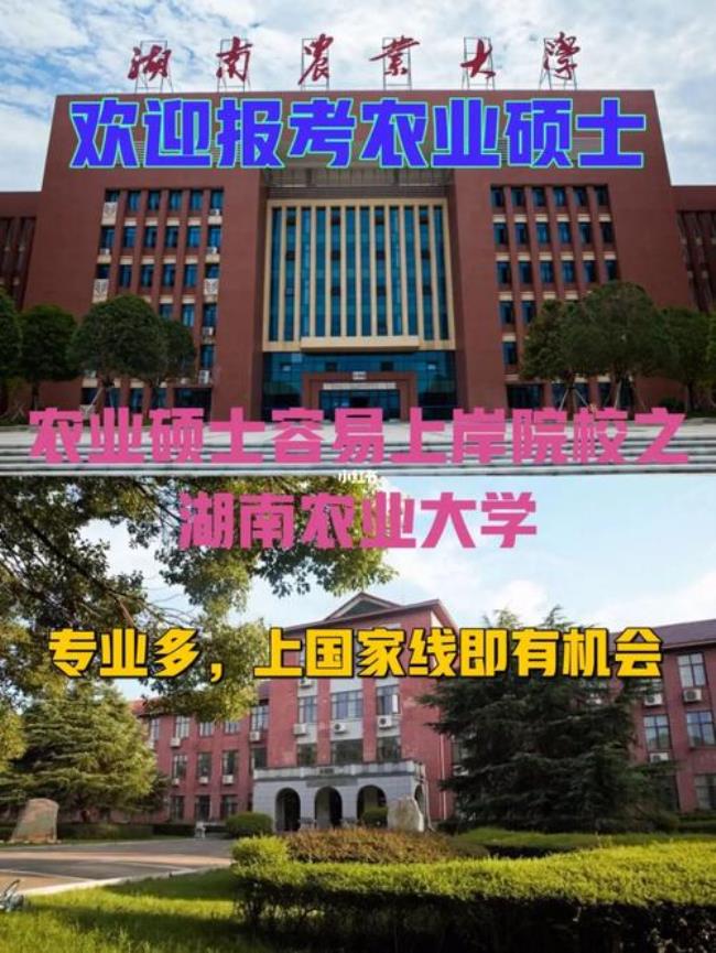 湖南农业大学考研难不难