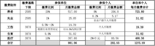 2015年河南省养老保险金的基数