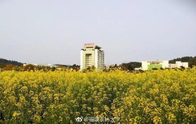 集美大学好还是福建农林大学好