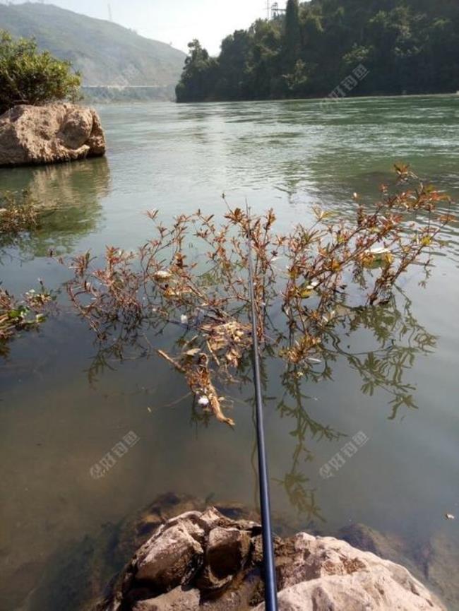 佛山南海最佳钓点