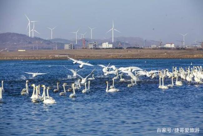 荣城在哪个城市