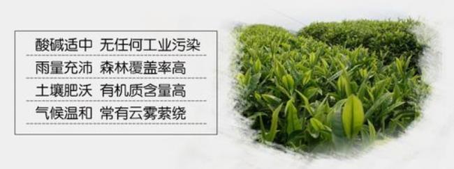 贵州省茶叶管理条例