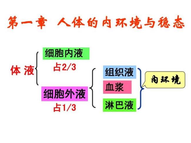 内环境和外环境是指什么