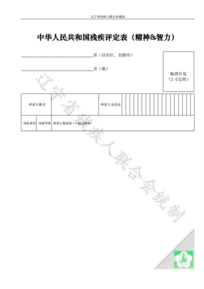 二级智残测试内容