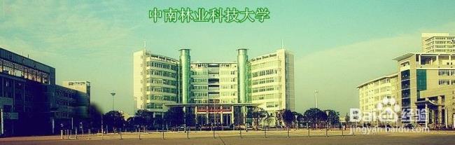 中南林业科技大学就业怎样