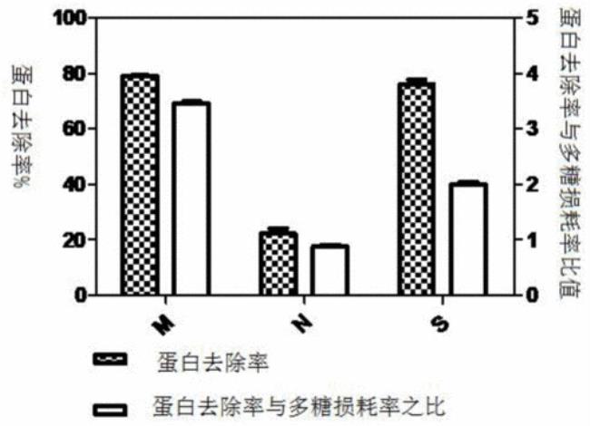 蛋白质和色素的关系