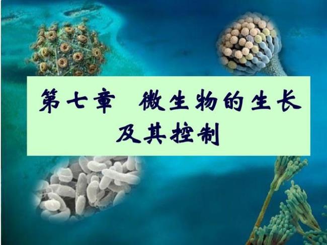 生物物理所和微生物所哪个强