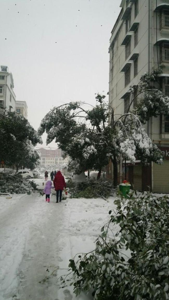 信阳市平桥区属于市区吗