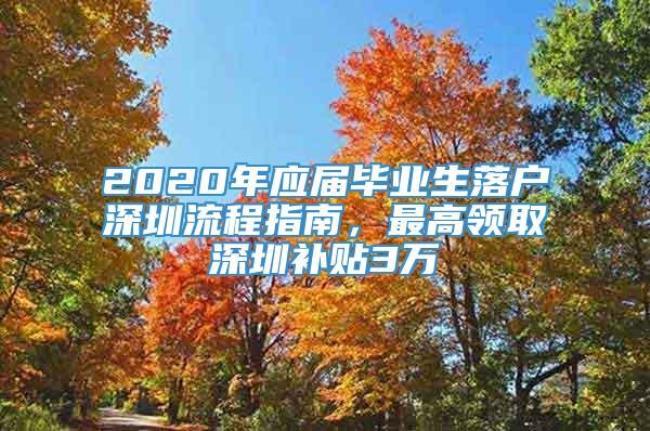 20年入学是24届毕业生吗