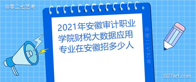 安徽审计职业学院多大