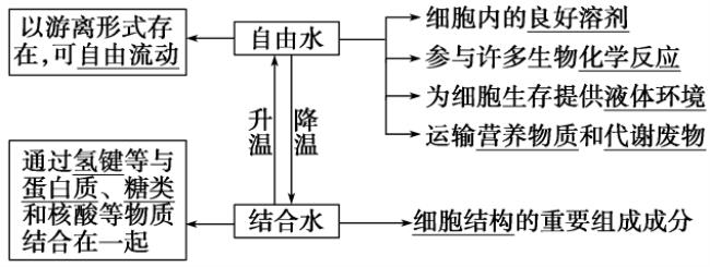 细胞中自由水的作用